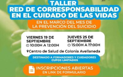 Taller: Red de corresponsabilidad en el cuidado de las vidas